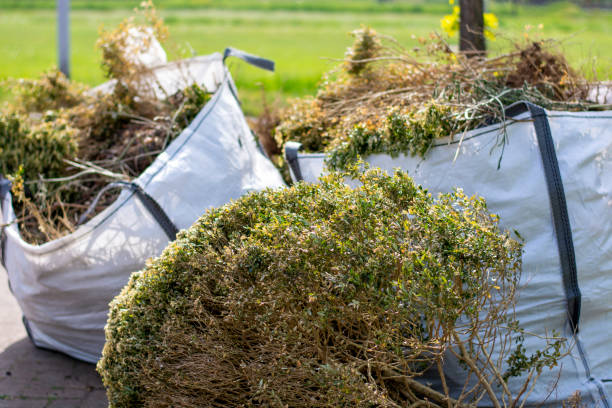 Attic Cleanout Services in Muscle Shoals, AL